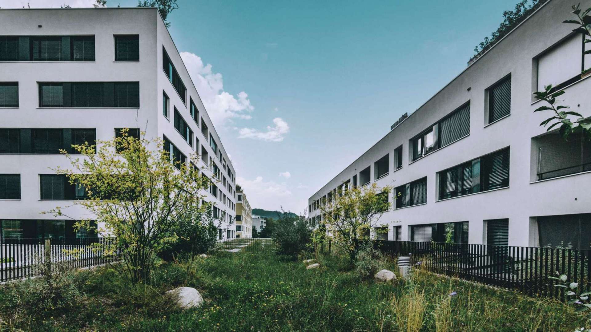Idea Verde Landschaftsarchitekt Tribschenstadt Luzern