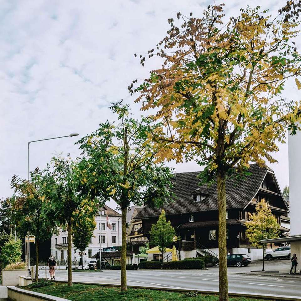 Idea Verde Landschaftsarchitekt Pfrundhof Neuenkirch